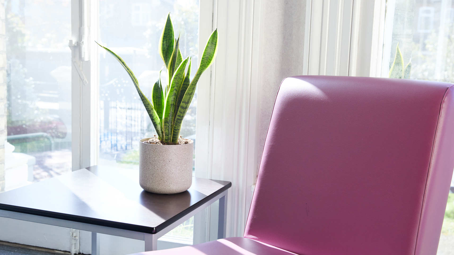 Chair and plant at clinic